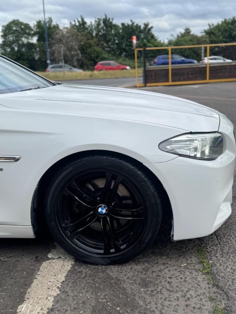 2014 BMW 5 Series, photo 25