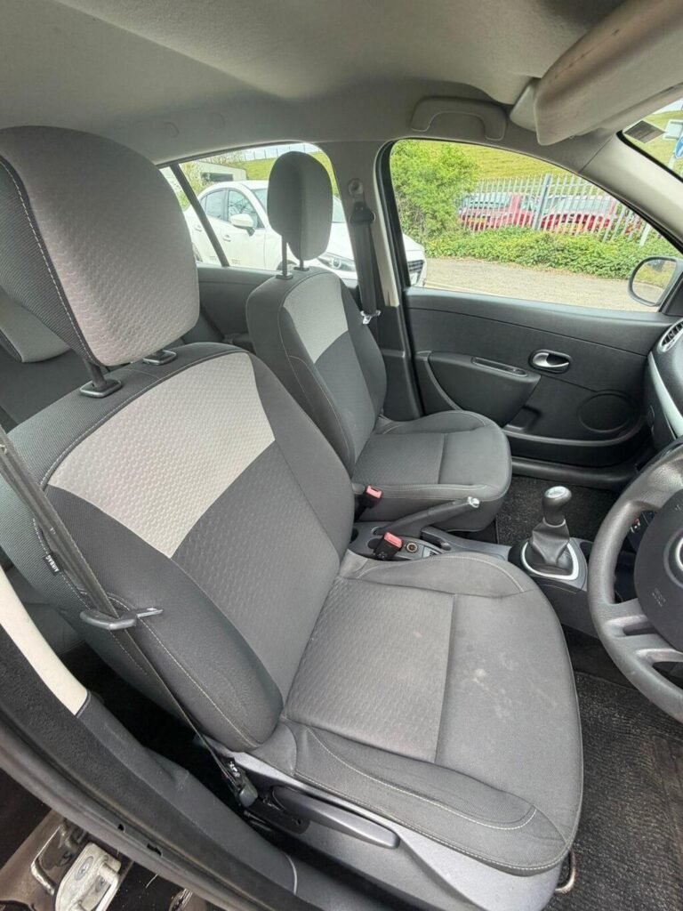 2010 Renault Clio, photo 21
