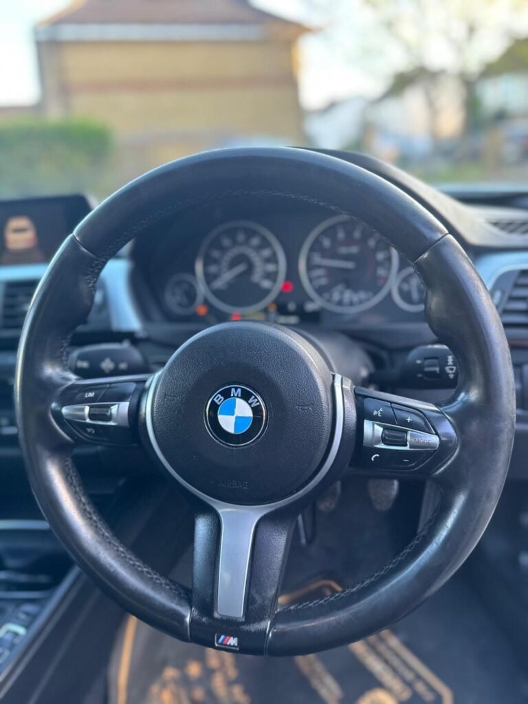 2015 BMW 3 Series, photo 39